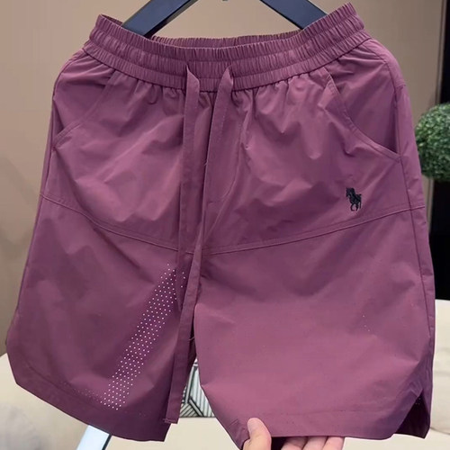 打孔速干运动短裤男款欧货五分裤