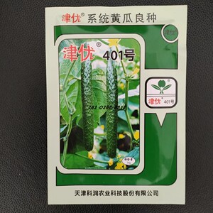 天津科润津优401黄瓜种子20克