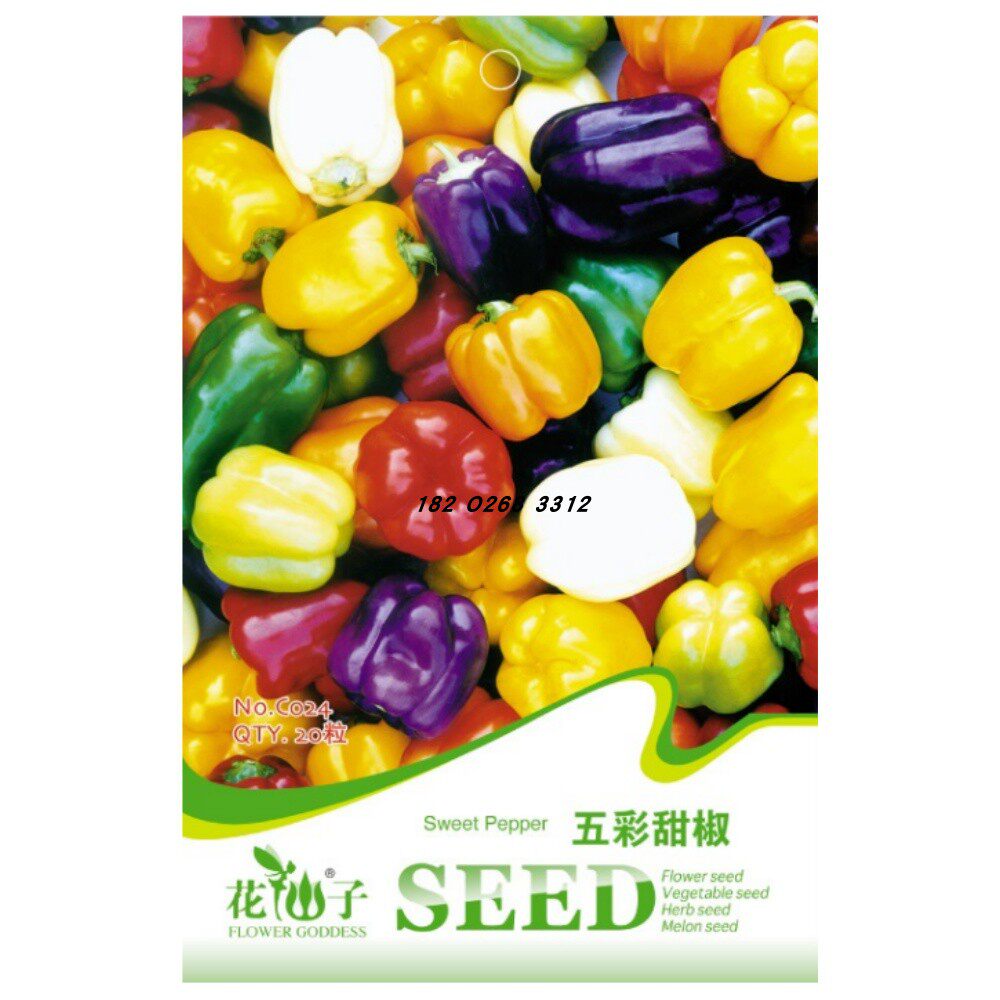 9元包邮】五彩椒种子景观庭院观果四季播种