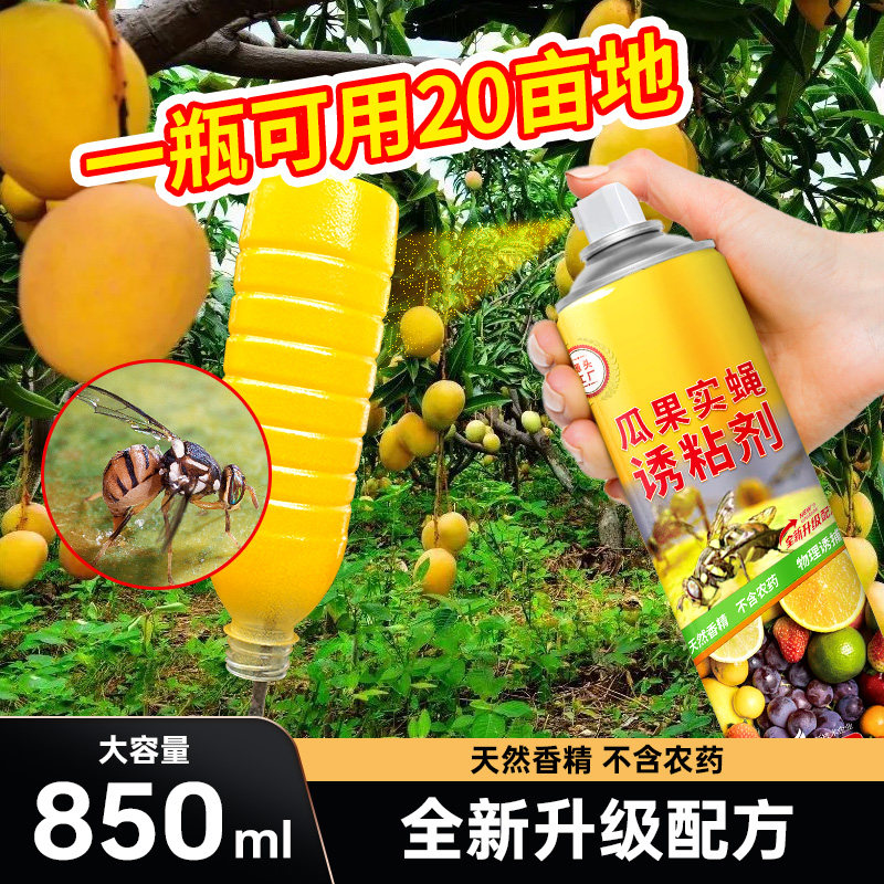 瓜果实蝇诱粘剂针蜂贴引诱剂灭果蝇药神器杀昆虫粘胶板粘板粘蝇板