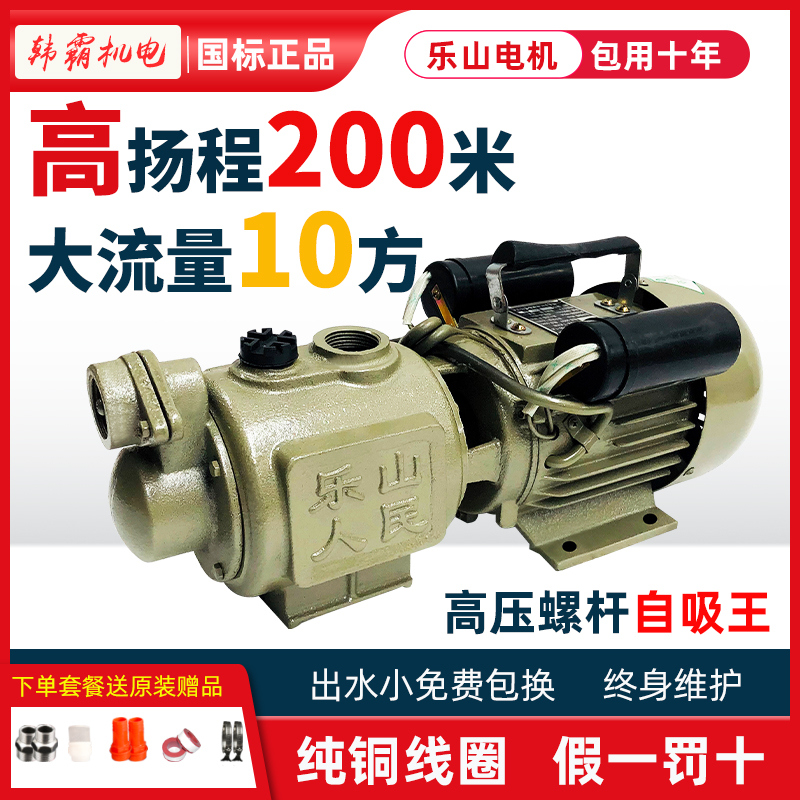 高吸程乐山自吸泵五通龙王纯铜芯