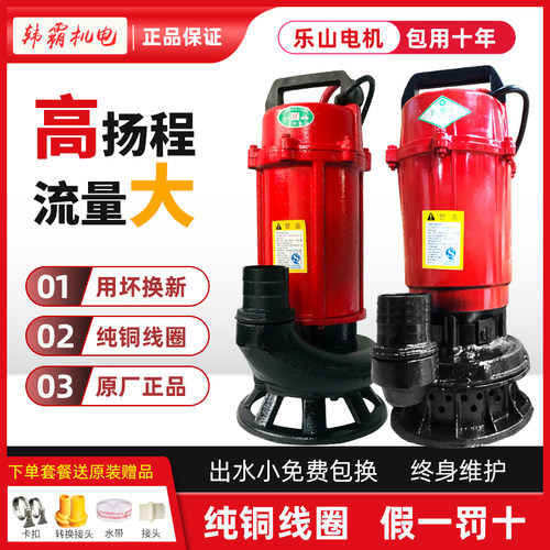 高扬程大流量乐山电机纯铜芯水泵
