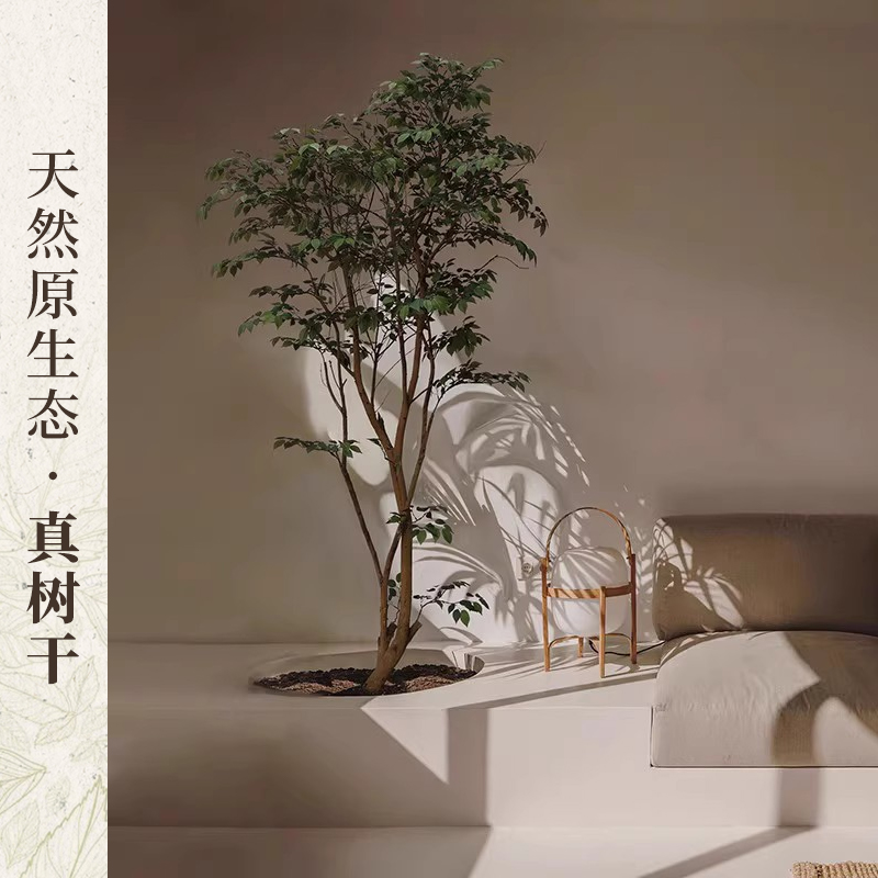 仿真小叶榕树盆栽盆景