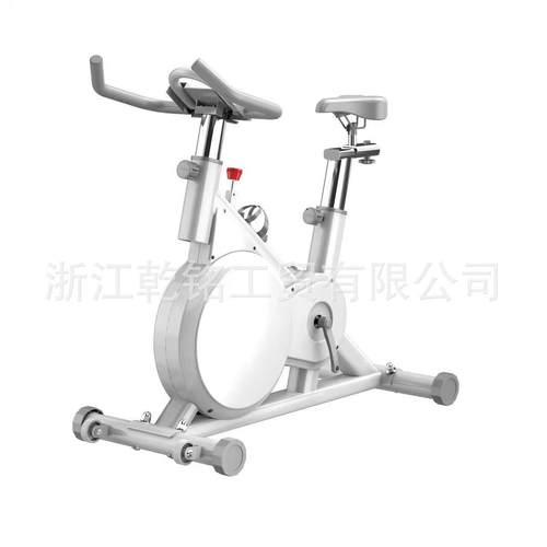 磁控智能动感单车家用室内健身车健身房器材减肥超静音运动自行车