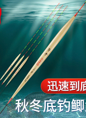 齐手芦苇浮漂高灵敏陈年带壳芦苇鱼漂冬钓细尾轻口鲫鱼鲤鱼鱼标