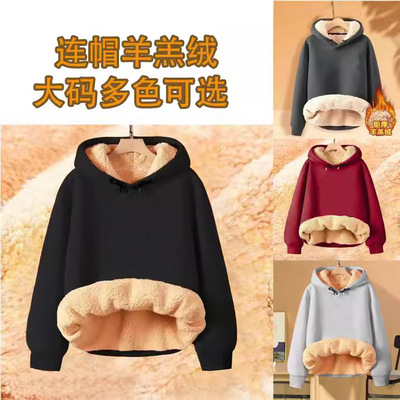 羊羔绒卫衣男加绒加厚男款冬季男士2024新款保暖上衣连帽套头