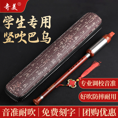 奇美巴乌乐器小学生专用C调降B调