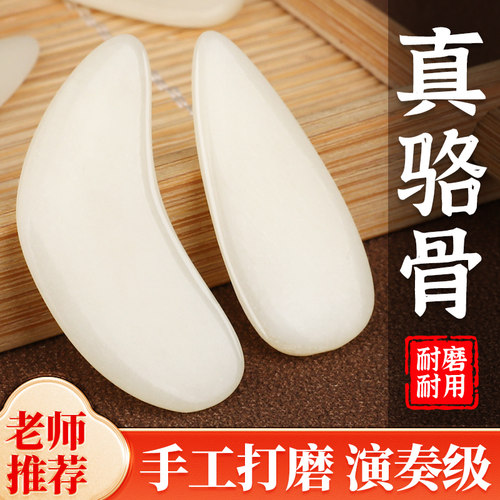 古筝指甲专业演奏级骆驼骨牛角