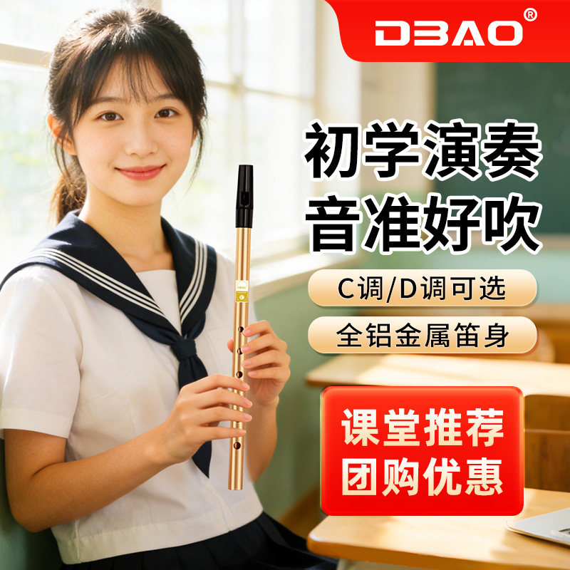 DBAO爱尔兰哨笛初学者入门C调D调6孔金属哨笛教学直笛乐器竖笛