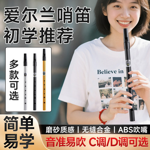 PTNOKA美度哨笛CD调6孔金属竖笛