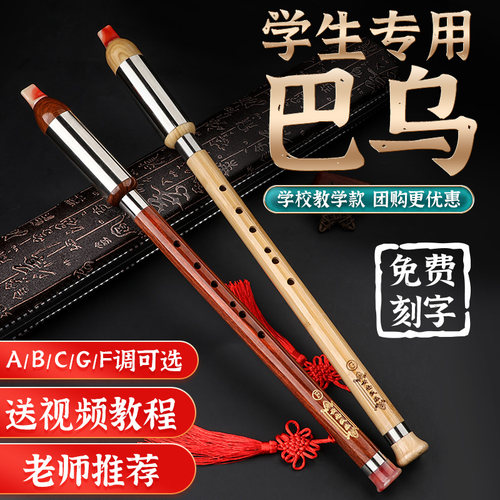 巴乌乐器小学生初学c调竖吹