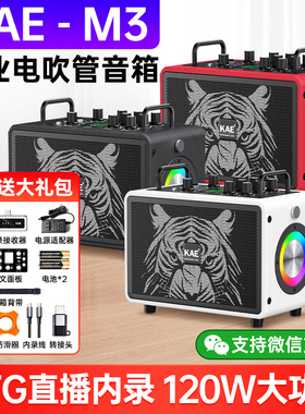 英国KAE-M3虎头音箱乐器专用电吹管萨克斯户外K歌直播音响旗舰店