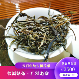 春茶预售 2026年头春头采 勐海布朗山广别老寨500年纯古树挑采