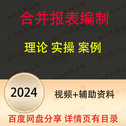 2024年财务报表合并视频 财务报表合并编制 实操视频教程 B13