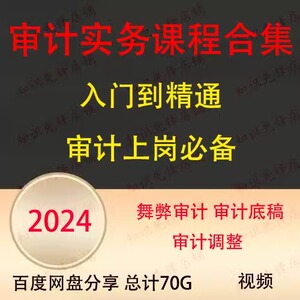 2024年审计实务视频审计实操课程会计实操