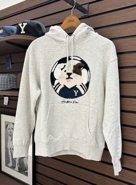 不退换COTA韩国代购YALE 2025冬休闲卫衣 YEF1HD332A(SA) 6A01