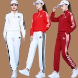 Демисезонный хлопковый спортивный костюм, комплект, свитшот, увеличенная толщина