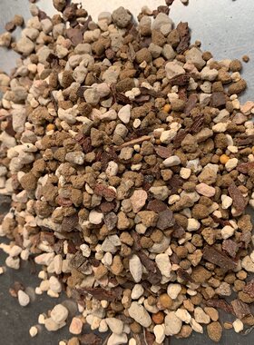十二卷多肉玉露寿硬化专用土