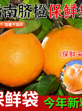 脐橙保鲜袋橙子柑橘包装袋一次性包橘子的保鲜袋家用水果保鲜袋子