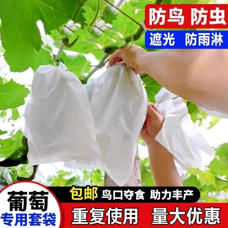 葡萄套袋专用袋防虫葡萄套育袋葡纸袋葡萄袋果袋袋子防水萄专用的