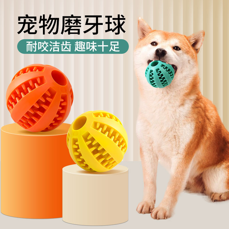 宠物狗玩具解闷神器橡胶耐咬洁齿