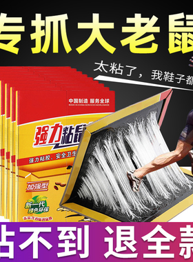 超强劲粘鼠板捉抓粘大老鼠贴沾胶夹笼捕鼠灭鼠克星家用一窝端