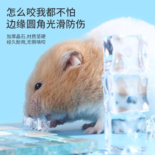 【仓鼠专用凉席垫】降温清凉冰垫