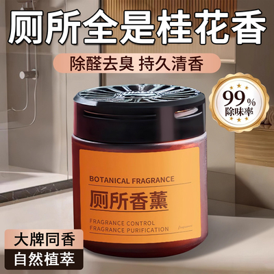 厕所除臭神器卧室持久留香