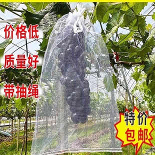 水果套袋通用防鸟包桃子苹果番石榴梨子通用保护果树套袋子网袋罩