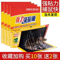 【Супер сильная мощность адгезии содержит порошок крысы】 10 липких крыс и 12 настоящих волос