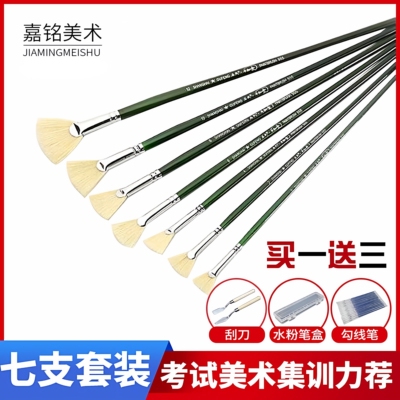 毕加索猪鬃扇形水粉油画笔送笔盒