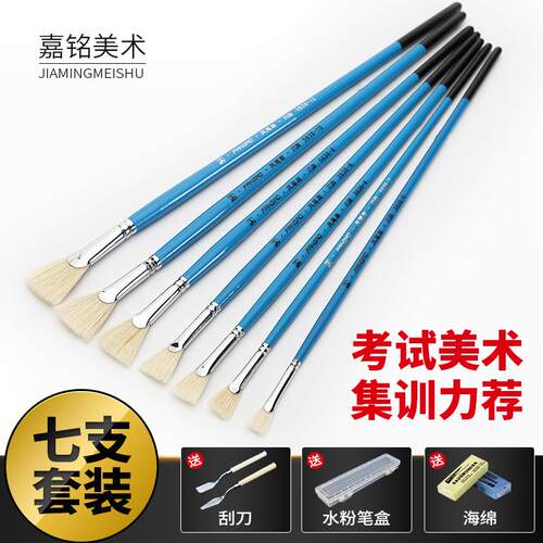 梵高猪鬃扇形笔水粉笔油画笔丙烯颜料画笔美术生专业扇形画笔套装 - 封面
