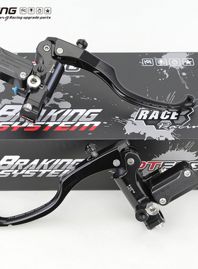 PTENG适用九号MZ/NZ小牛MQIL/ML电动车电摩刹车泵PT70直推上泵