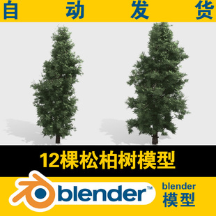blender模型森林植物树木模型12棵松树柏树工程文件blender资产