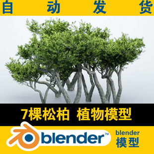 blender模型森林植物树木树林模型7棵松树柏树榕树工程文件资产