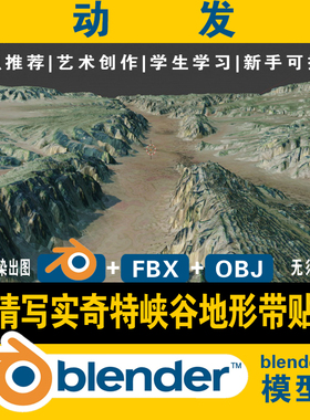 blender峡谷山谷3d模型奇特地形地貌场景高清写实贴图含fbx obj