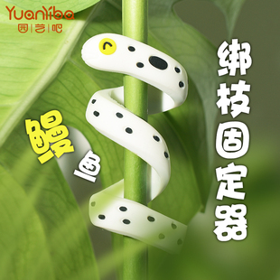 园艺鳗鱼捆枝带捆扎绳植物绑定造型动物装饰多功能爬藤固定器丝