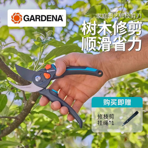 德国进口嘉丁拿修枝剪园艺专用剪刀果树修剪树枝剪刀园林枝剪花剪
