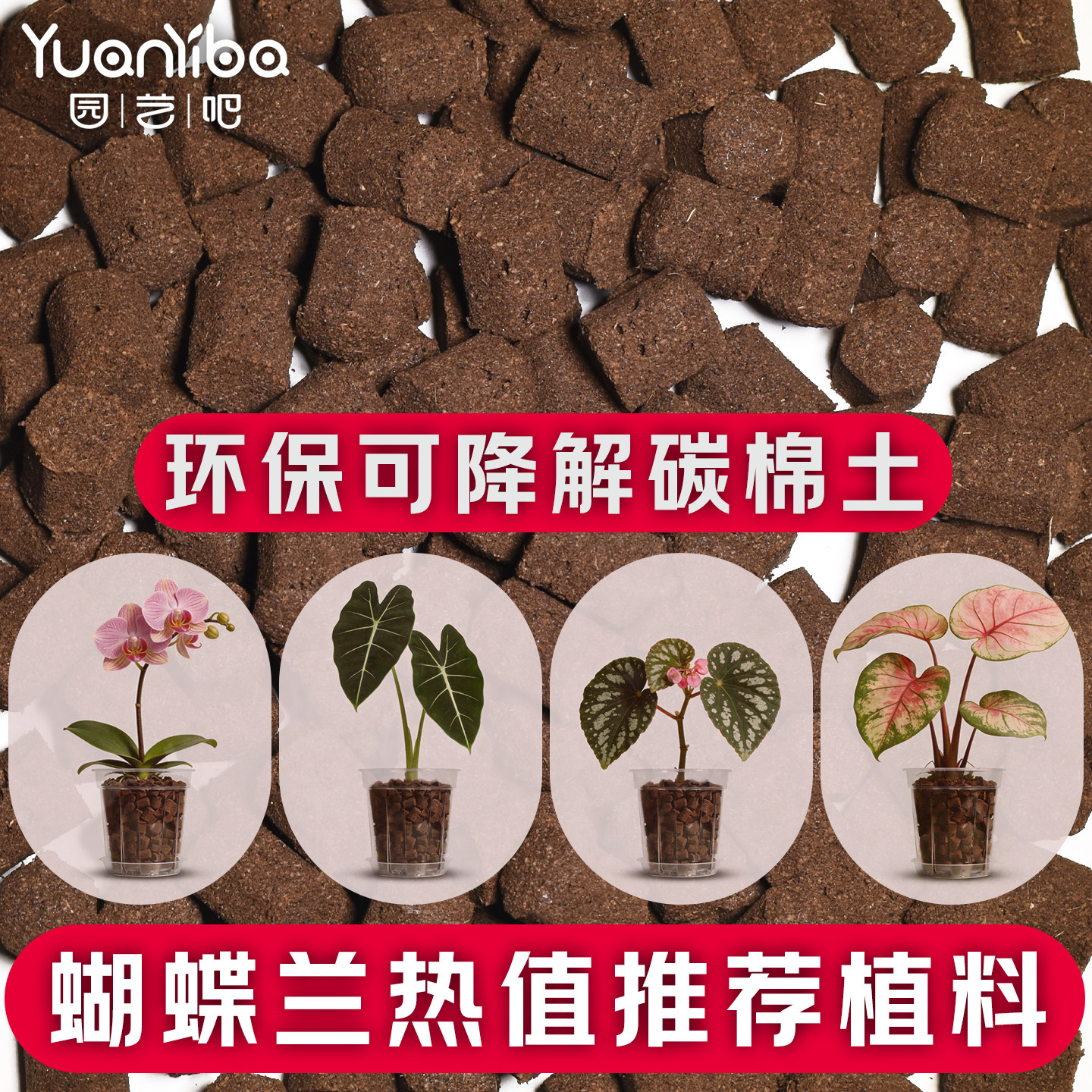 蝴蝶兰热值碳绵营养土透气锁水图片