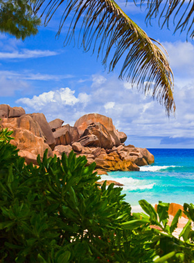 B464椰岛多姿静美阳光夏日旅游高清摄影艺术作品世界自然高清图片