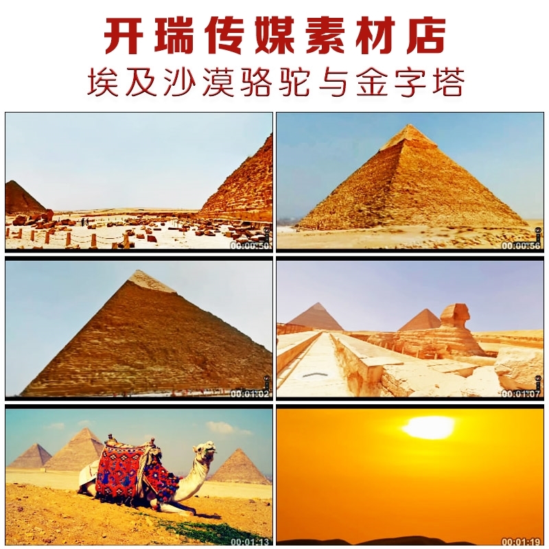 CF110埃及沙漠骆驼与金字塔北非风光片高清实拍视频素材