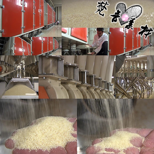 非实物  非教程   付款后旺旺聊天窗口发送网盘下载链接  素材详情请看详情页。