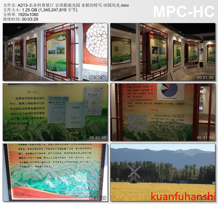 农业科普展厅 京西稻观光园 水稻田特写 田园风光 高清视频素材