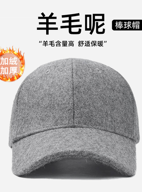 DZP棒球帽户外休闲男冬季平檐