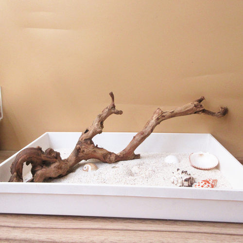 【珊瑚木枝条】寄居蟹攀爬躲避木头 水族鱼缸饲养箱鸣虫爬宠造景