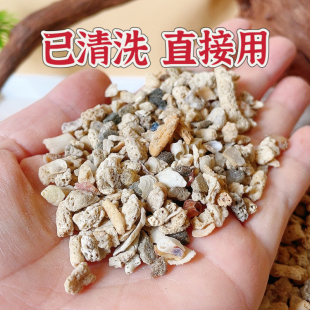 【天然珊瑚骨】补钙微量元素净化水 寄居蟹小爬宠饲养箱造景装饰