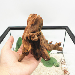 【珊瑚木】寄居蟹天然攀爬躲避树枝 水族鱼缸饲养箱鸣虫爬宠造景