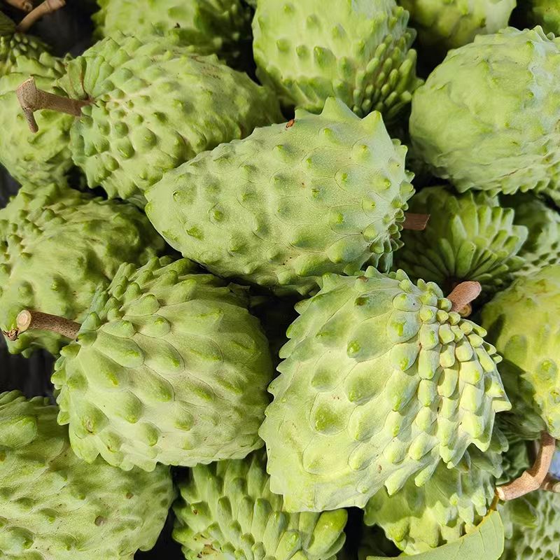 云南凤梨牛奶释迦水果番荔枝