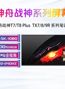 神舟战神T7 T8 Plus/Pro DA5/7/9N TX7 TX8 TX9 R5/7/9笔记本屏幕