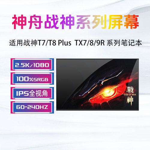 神舟战神T7 T8 Plus/Pro DA5/7/9N TX7 TX8 TX9 R5/7/9笔记本屏幕
